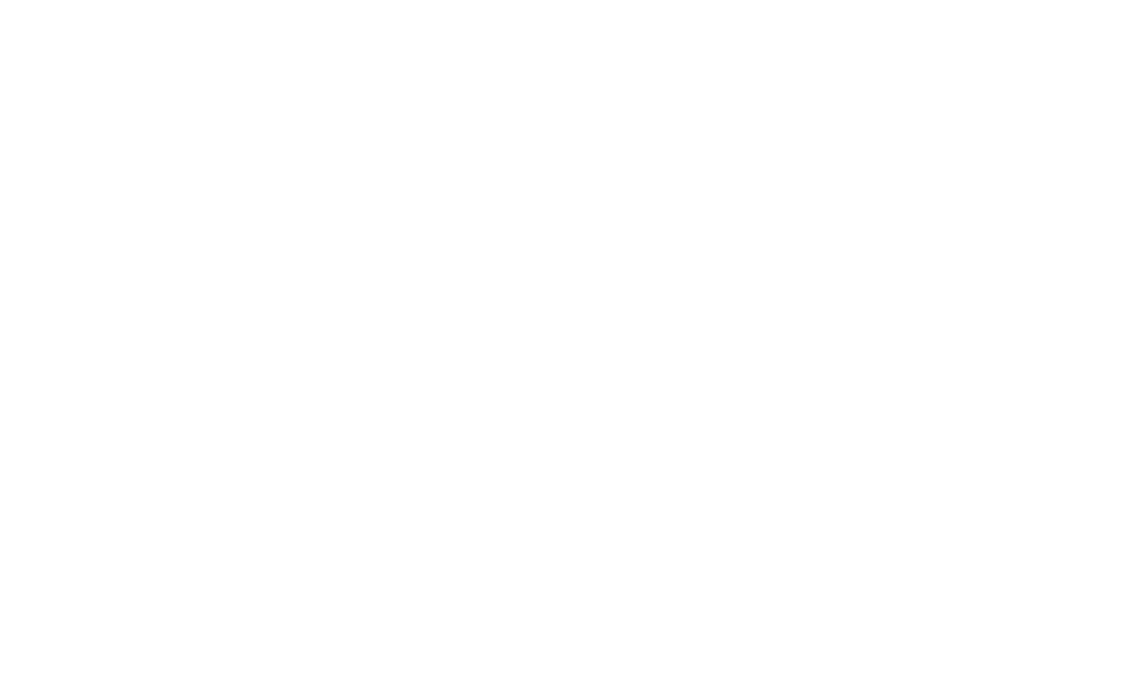logo light